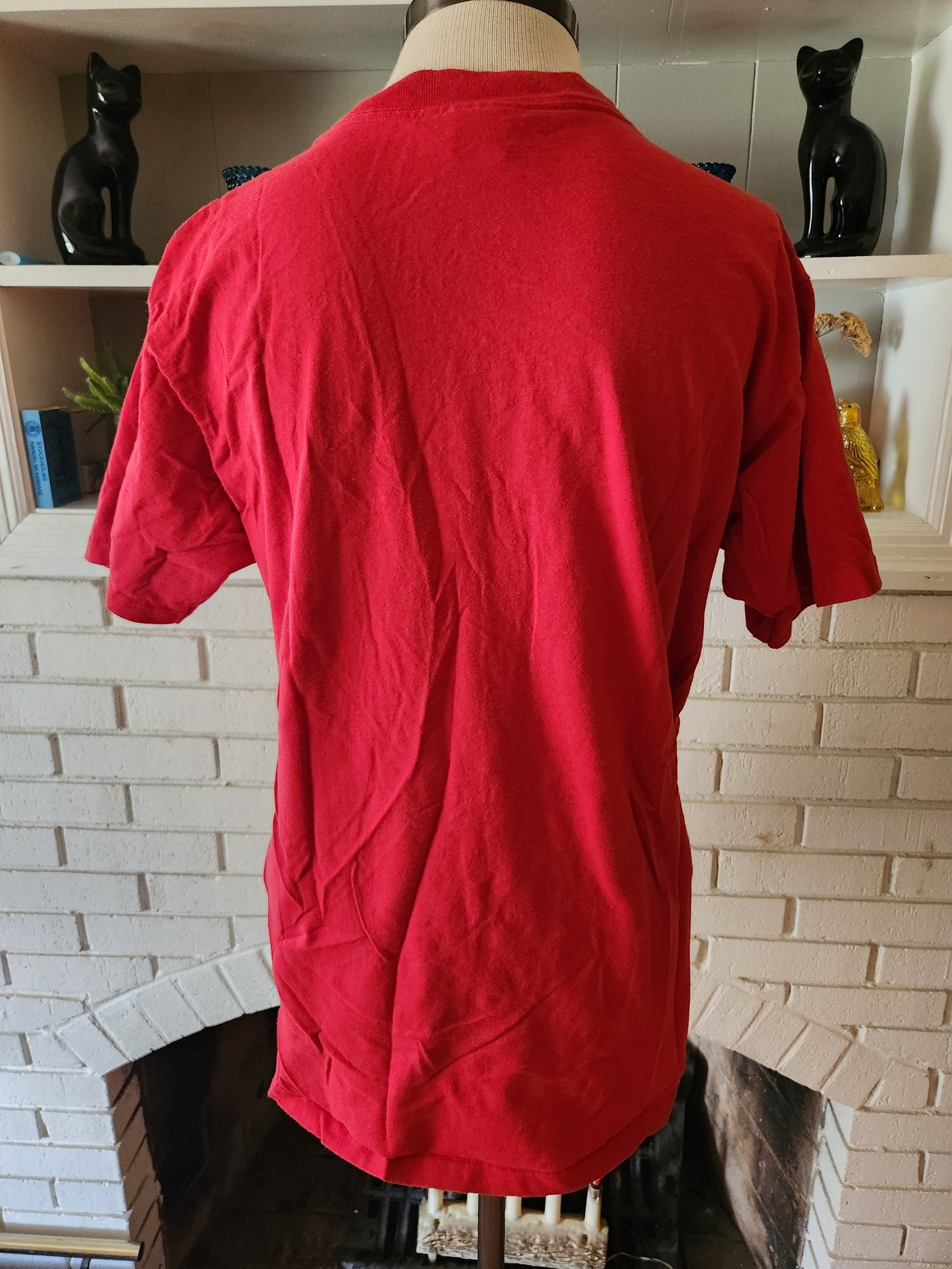 Vintage Chicago Bulls "Facts" T Shirt by Nutmeg Mills