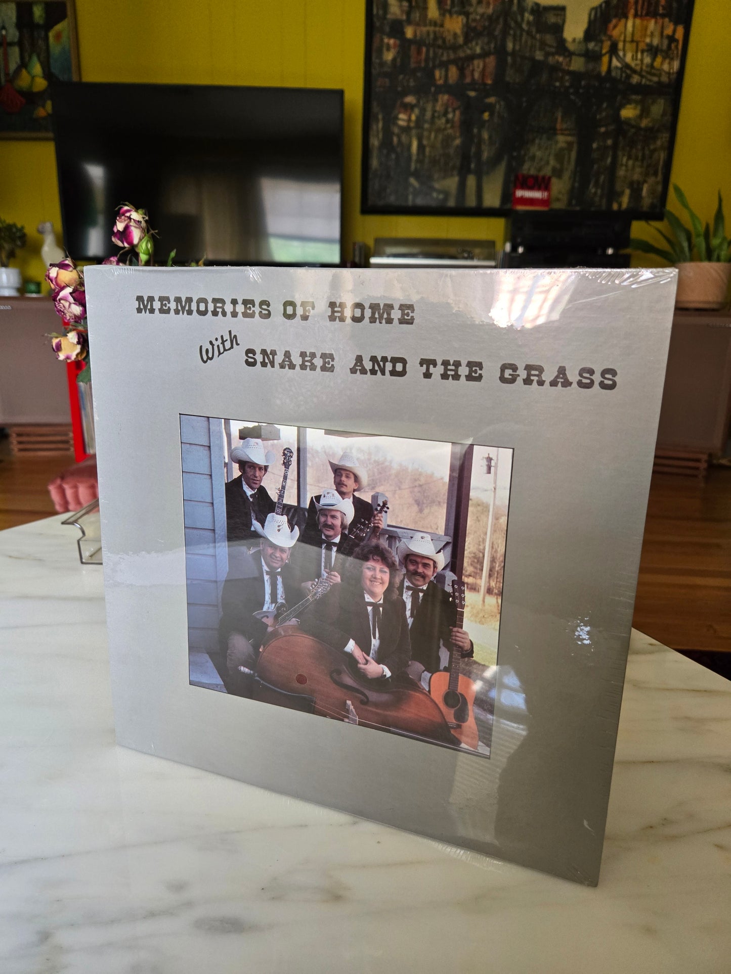 Memories of Home with Snake and the Grass Vinyl Record UNOPENED!