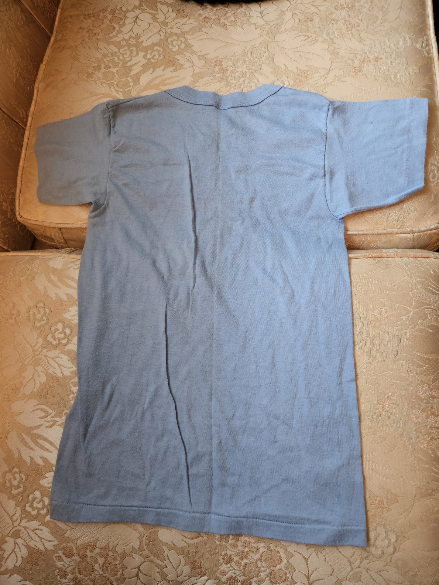Vintage Big Brother T-Shirt by Tee Swing