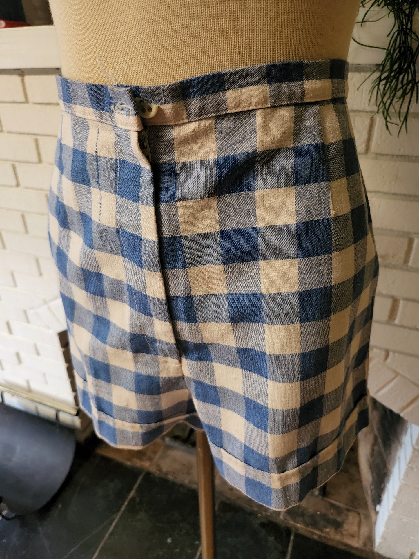 Vintage Blue and White Checkered Shorts