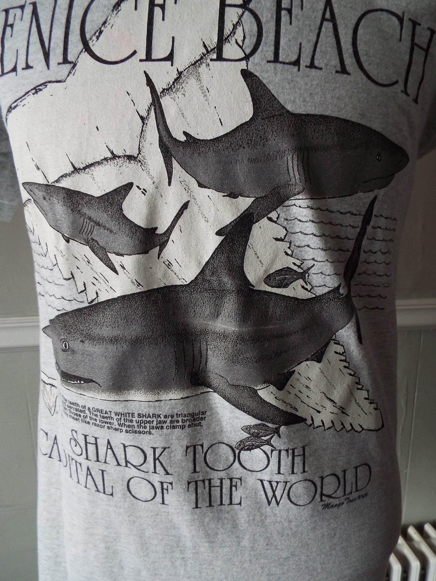 Vintage Venice Beach T Shirt by Mango Tree