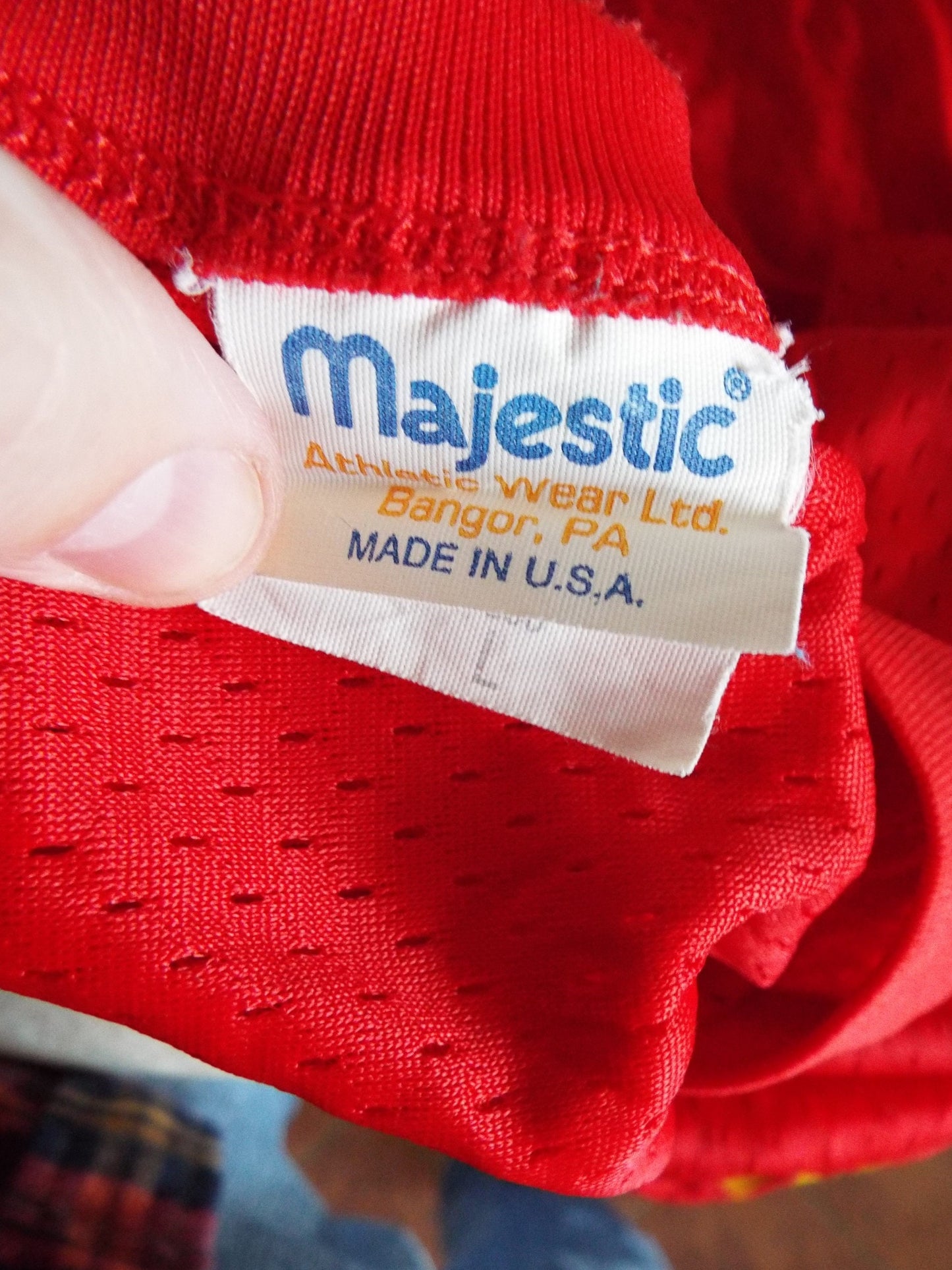 Vintage Hebron Hockey Jersey by Majestic
