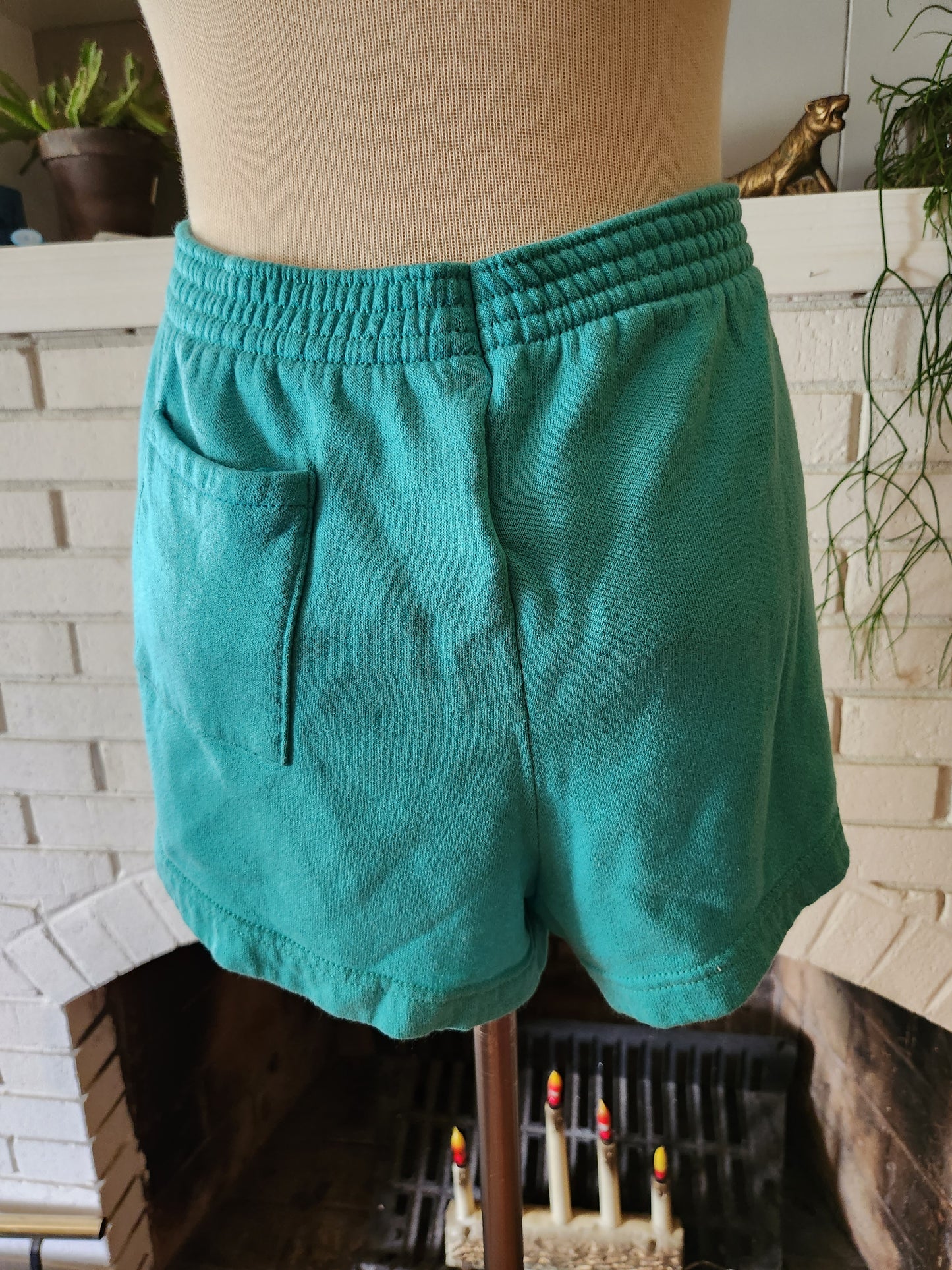 Vintage Fleece Shorts by Tultex