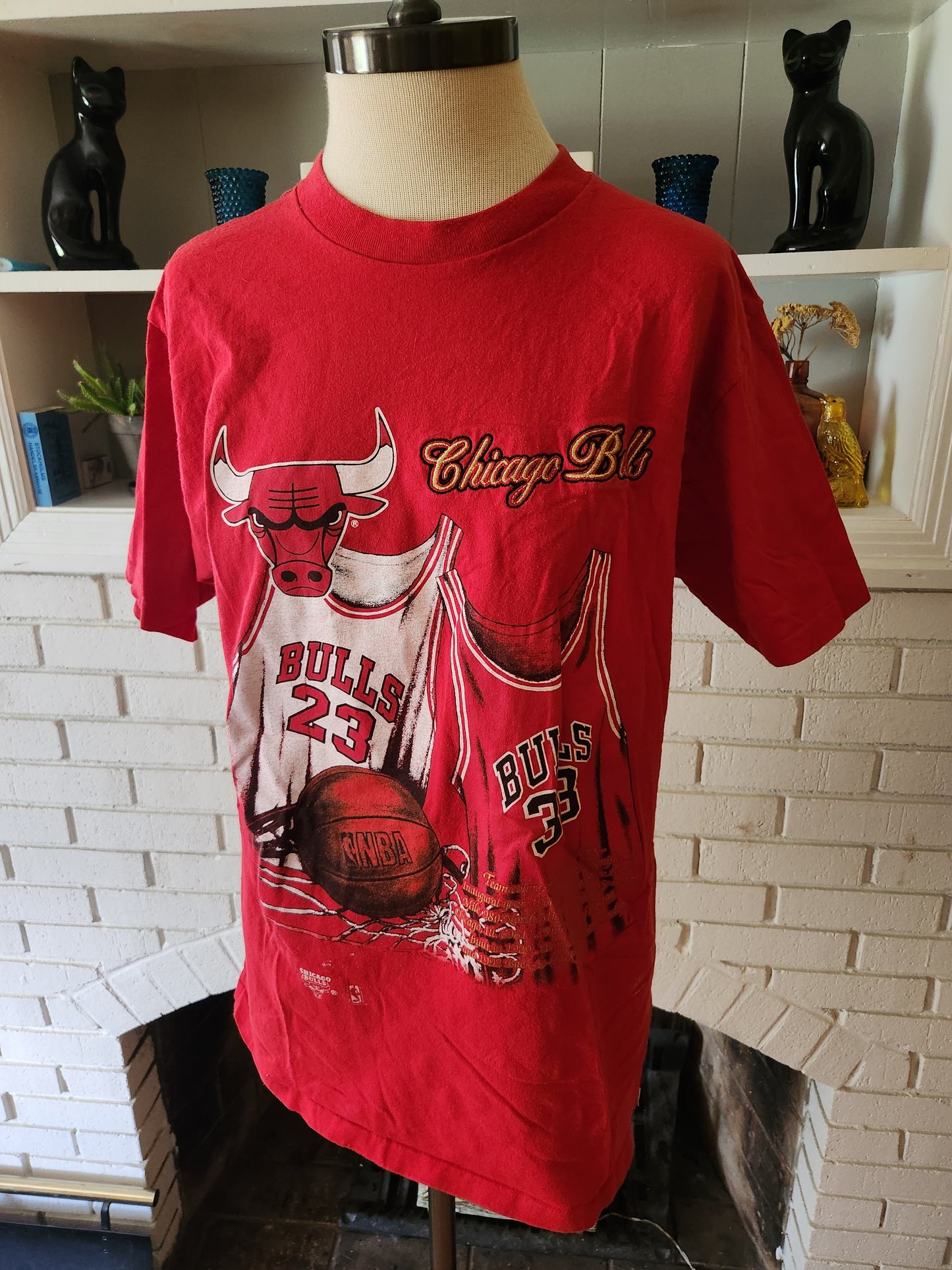 Vintage Chicago Bulls "Facts" T Shirt by Nutmeg Mills