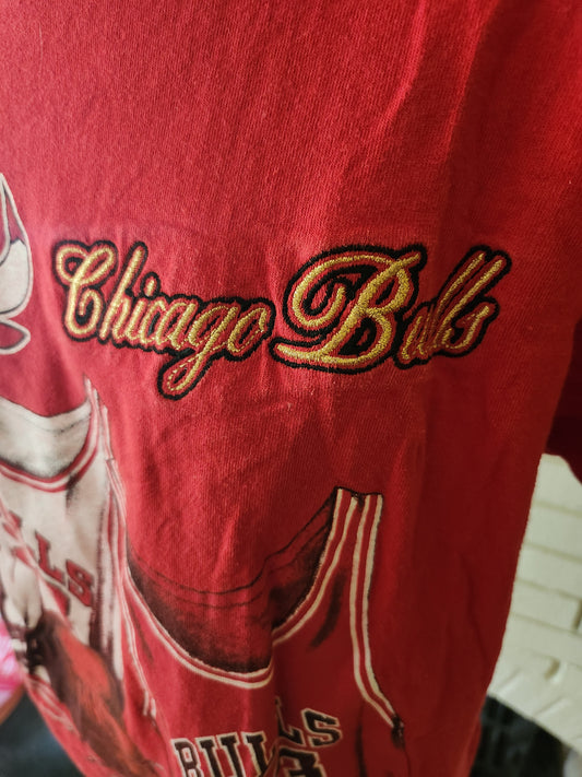 Vintage Chicago Bulls "Facts" T Shirt by Nutmeg Mills