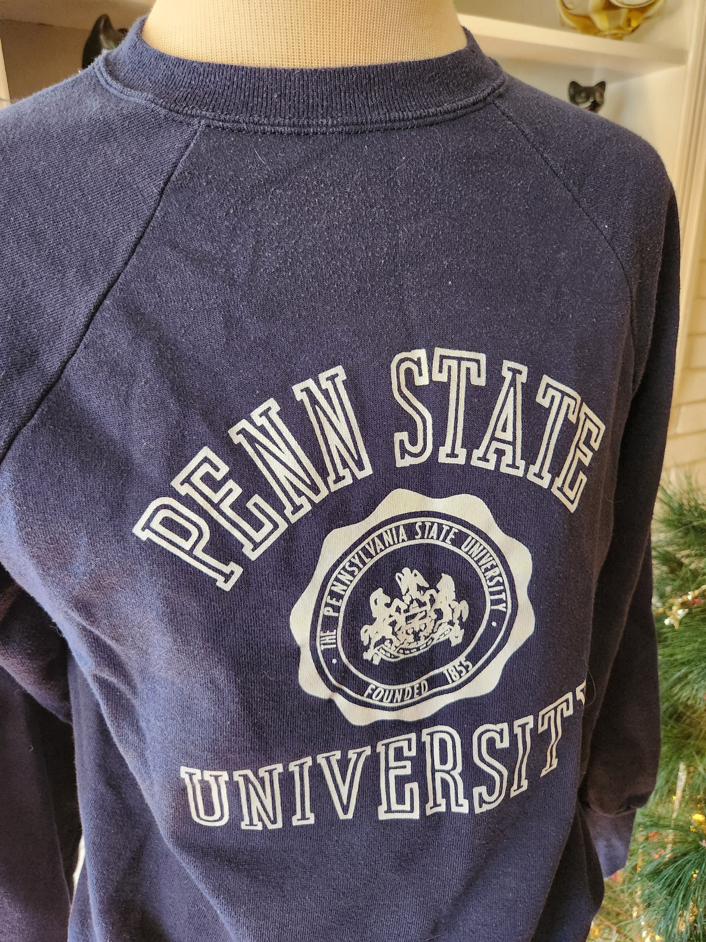 Vintage Penn State Sweatshirt by Signal