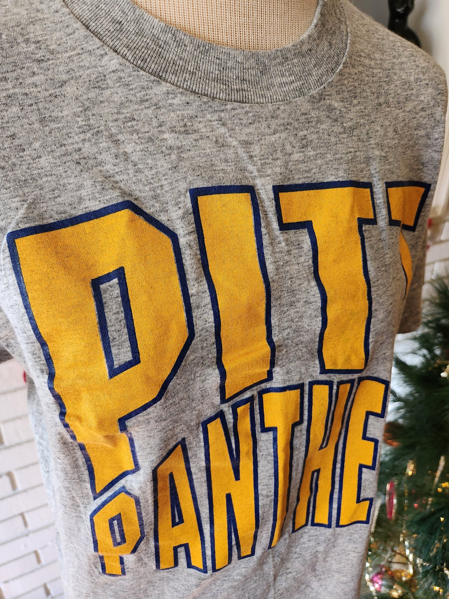 Vintage Pitt Panthers T Shirt by Durham Knitting Mills