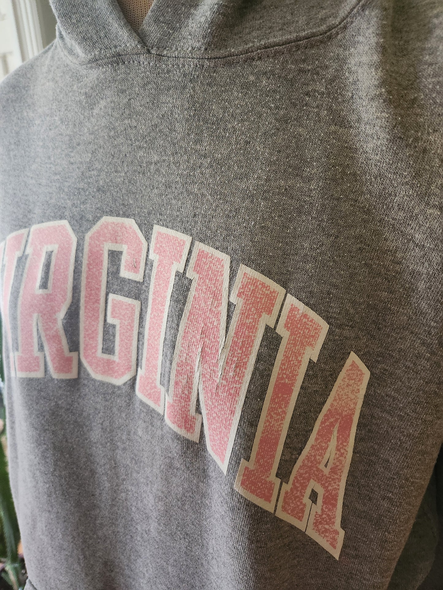 Vintage Virginia Hoodie Sweatshirt by Eagle USA