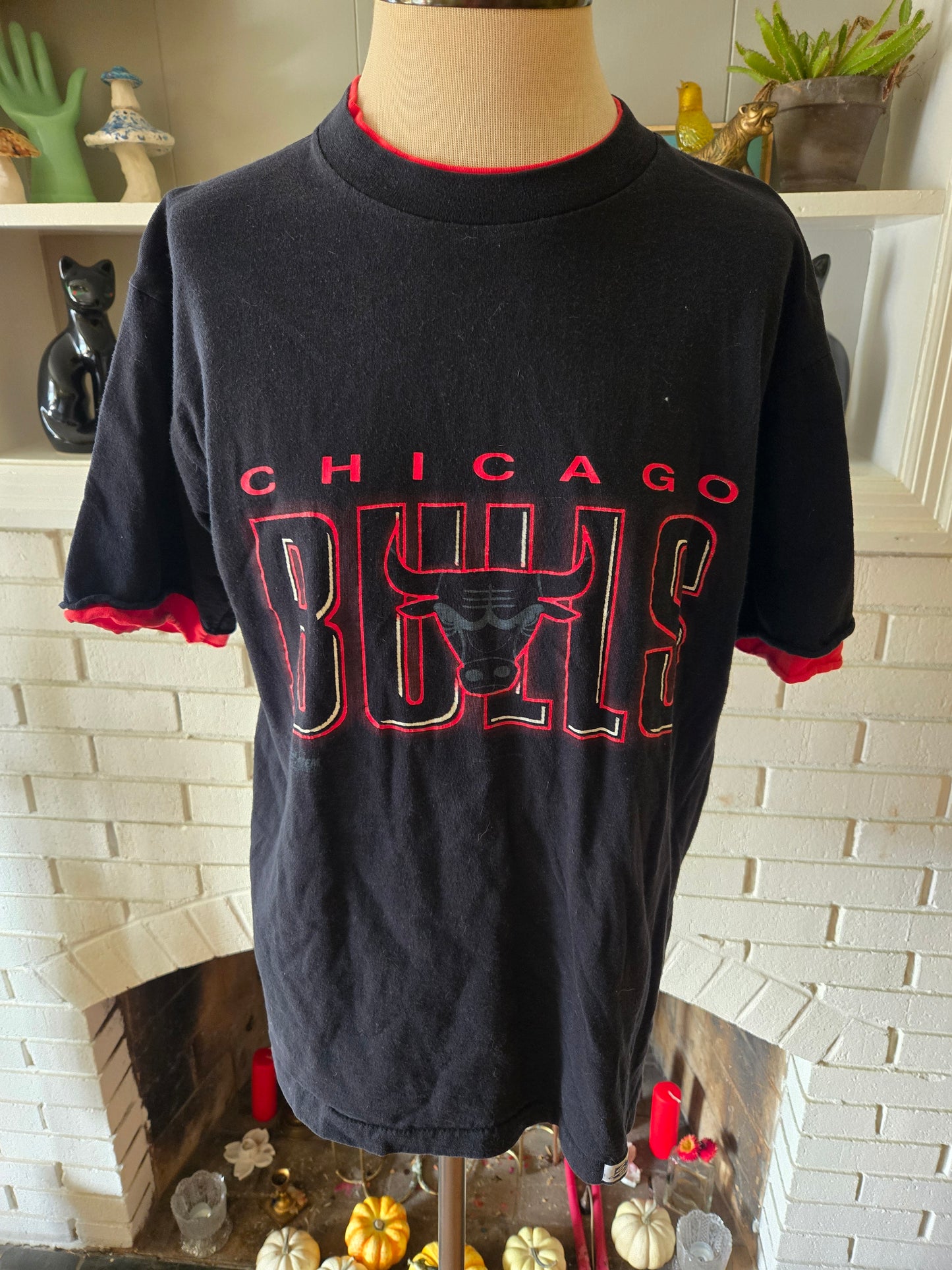 Vintage Chicago Bulls T Shirt by Salem Sportswear from 1991