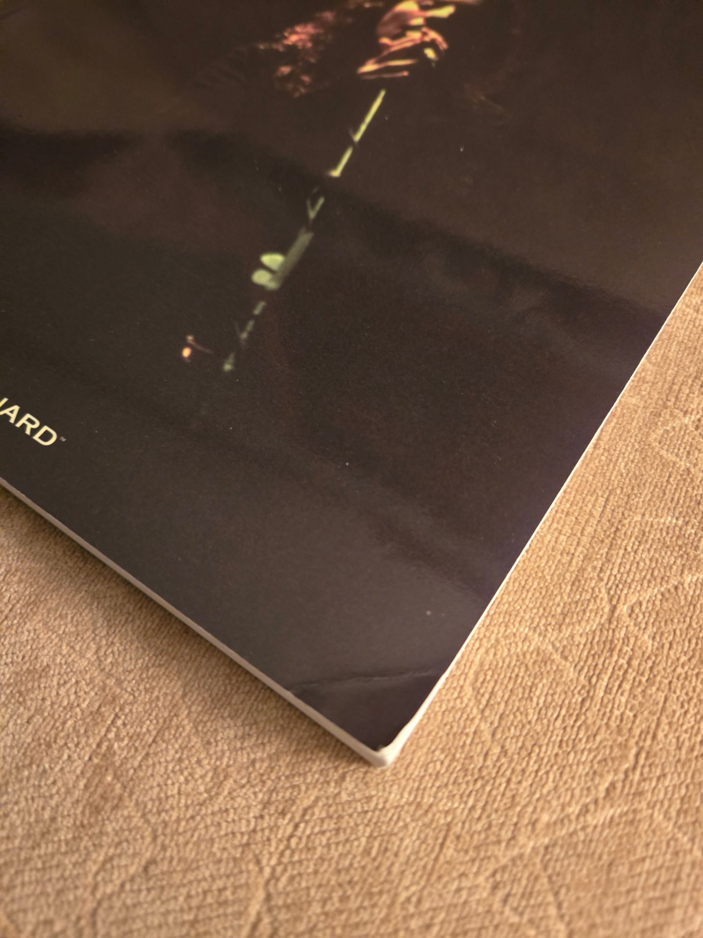 Vintage Sarah McLachlan Songbook 1994