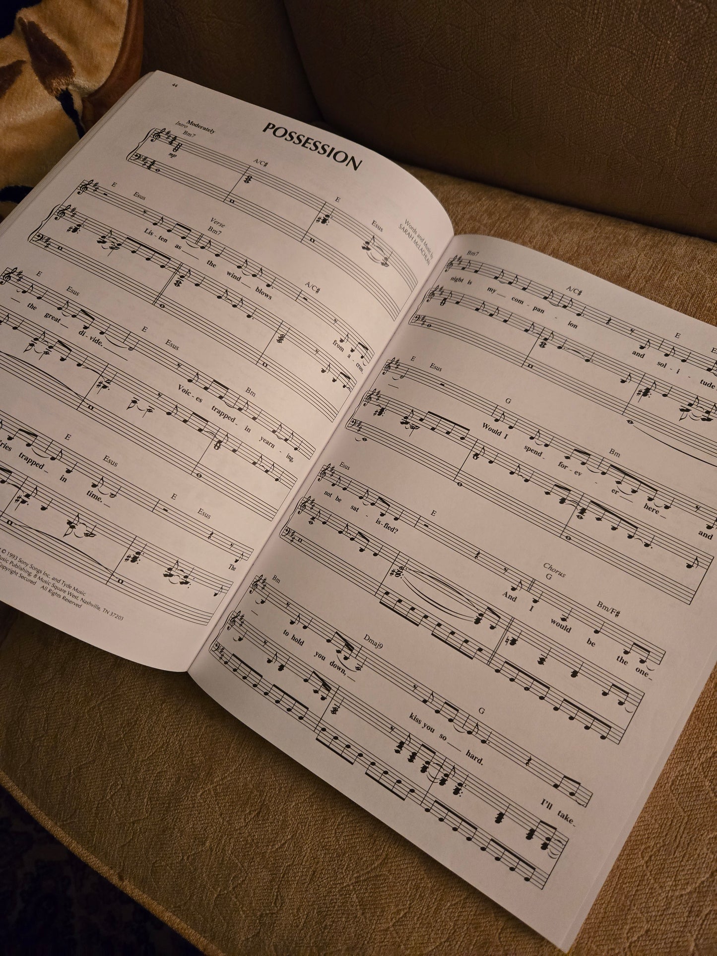 Vintage Sarah McLachlan Songbook 1994