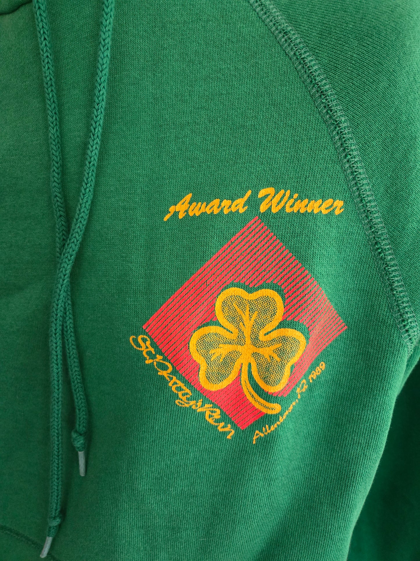 Vintage St. Patty's Day Allentown Hoodie Sweatshirt by Bassett Walker