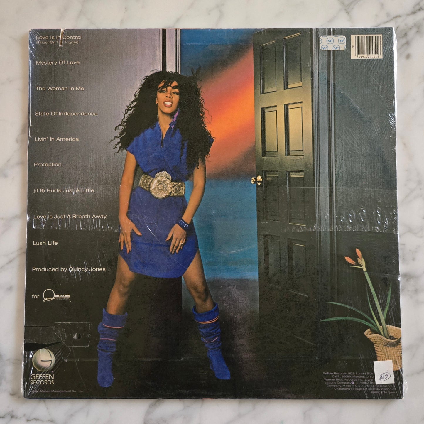 Donna Summer Vinyl Record UNOPENED!