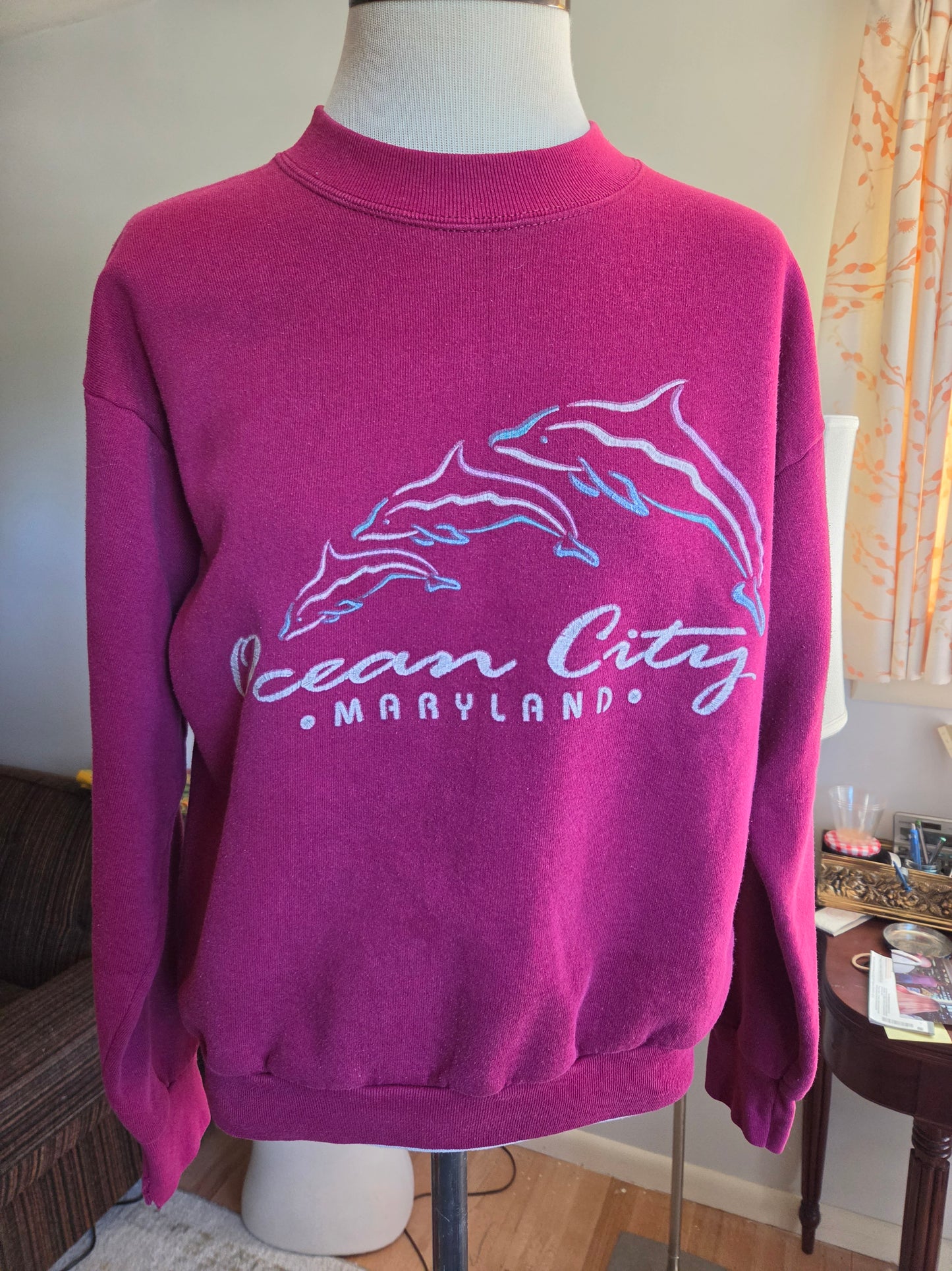 Vintage Ocean City Maryland Sweatshirt by Fruit of the Loom
