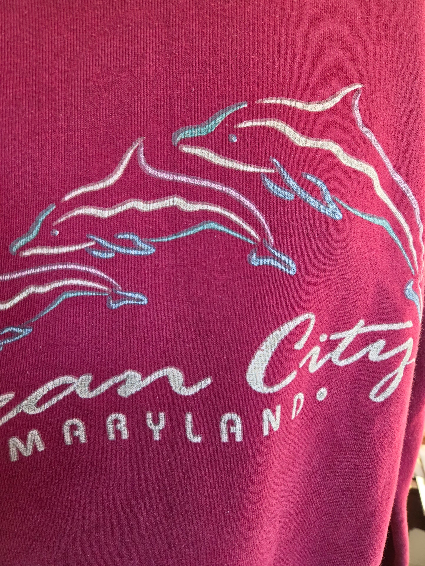 Vintage Ocean City Maryland Sweatshirt by Fruit of the Loom