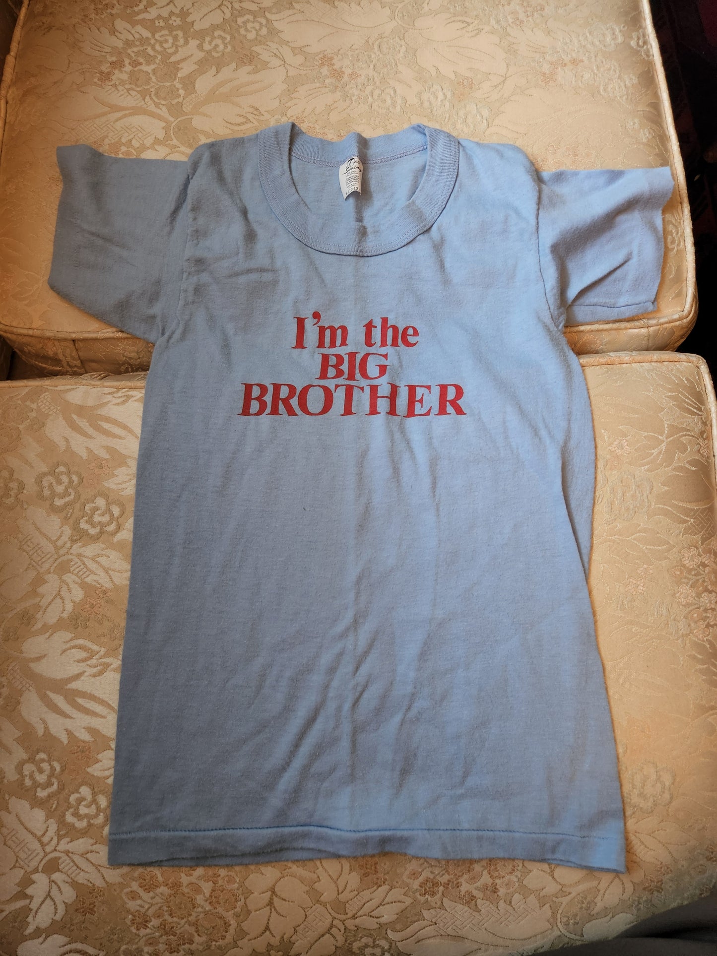Vintage Big Brother T-Shirt by Tee Swing