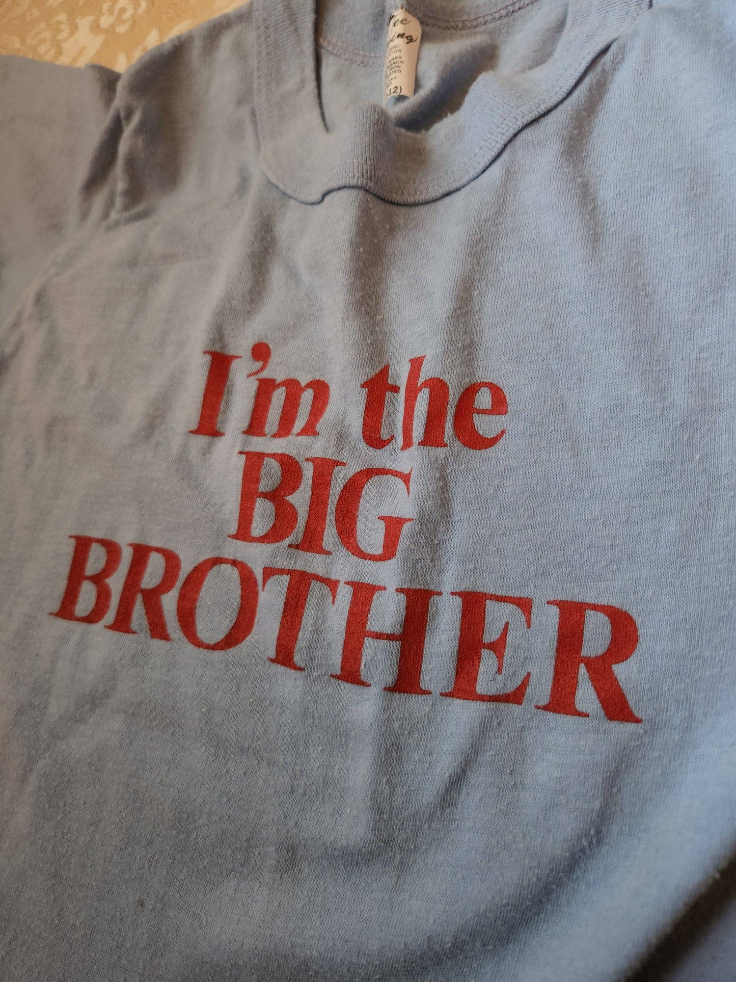 Vintage Big Brother T-Shirt by Tee Swing