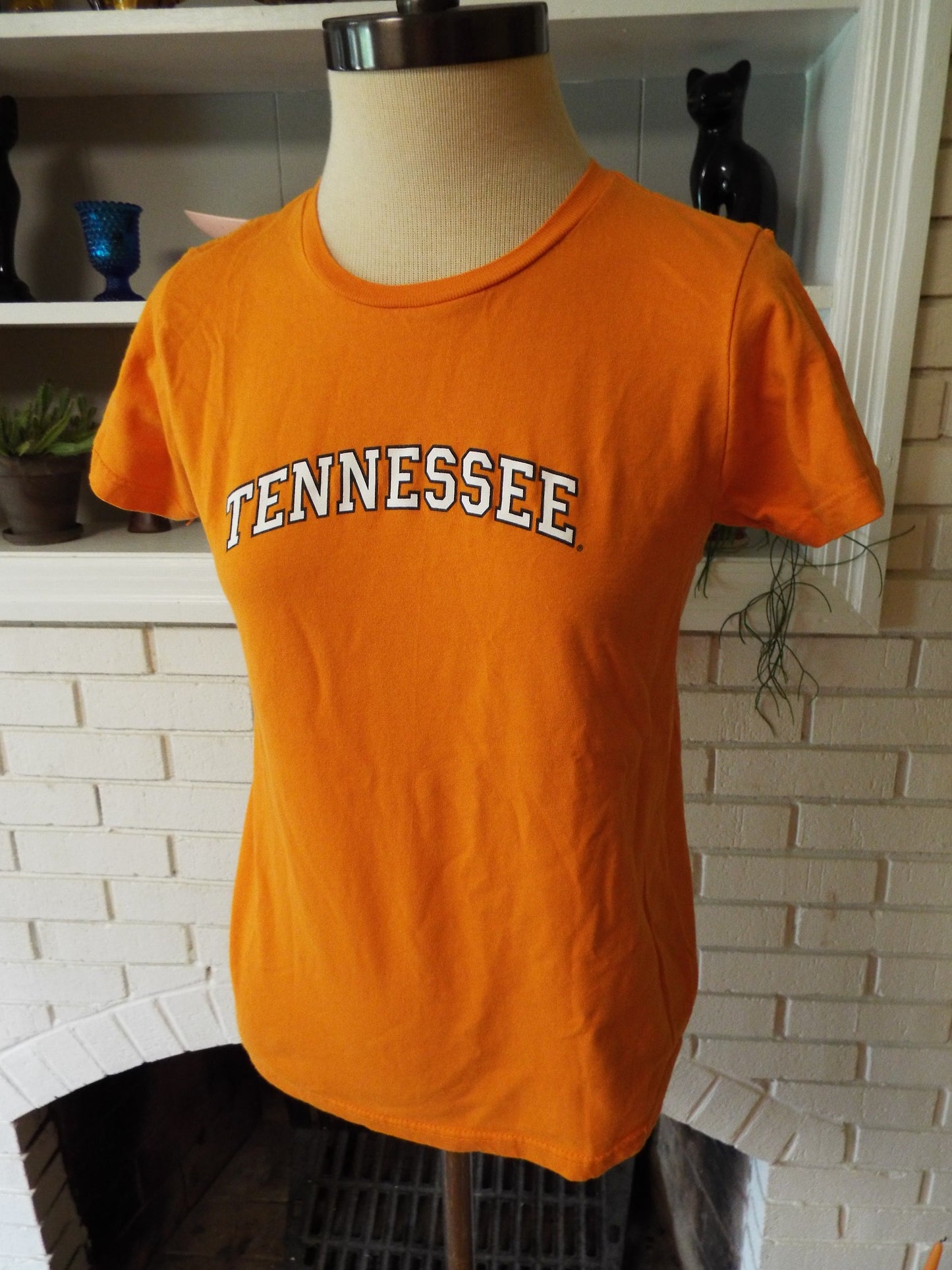 Vintage Tennessee T-shirt by the Cotton Exchange