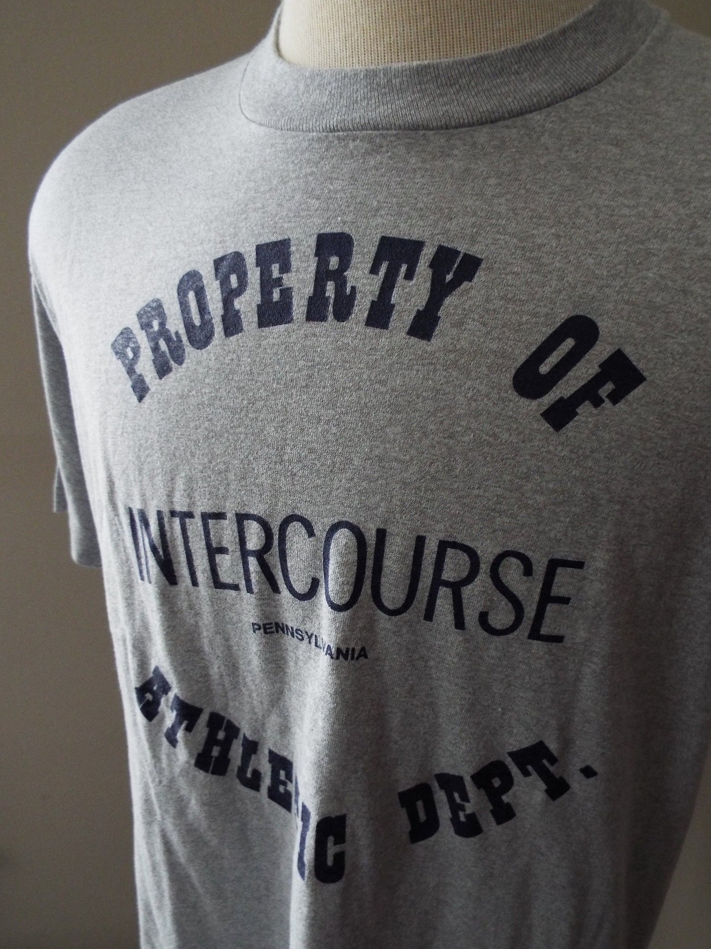 Vintage Intercourse PA T Shirt by Screen Stars
